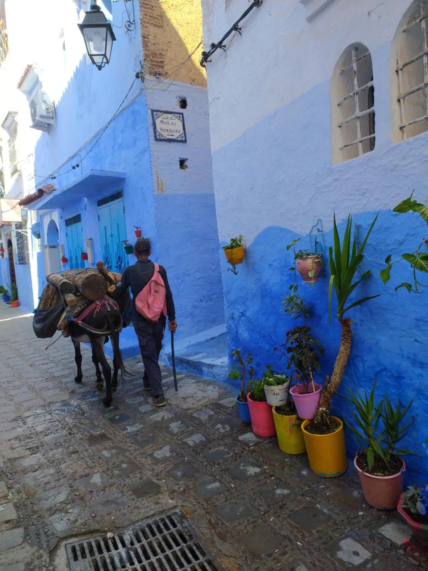 Honey Suckle Hotel Chefchaouen Bagian luar foto